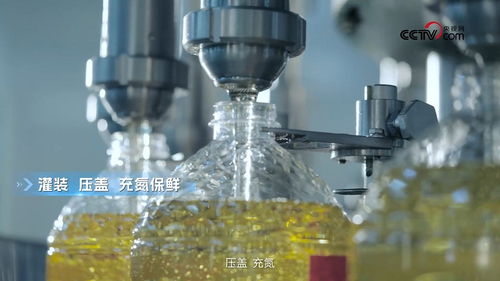 央視網探訪多力安心工廠 揭秘熱像儀如何破解低油煙技術的科學專利